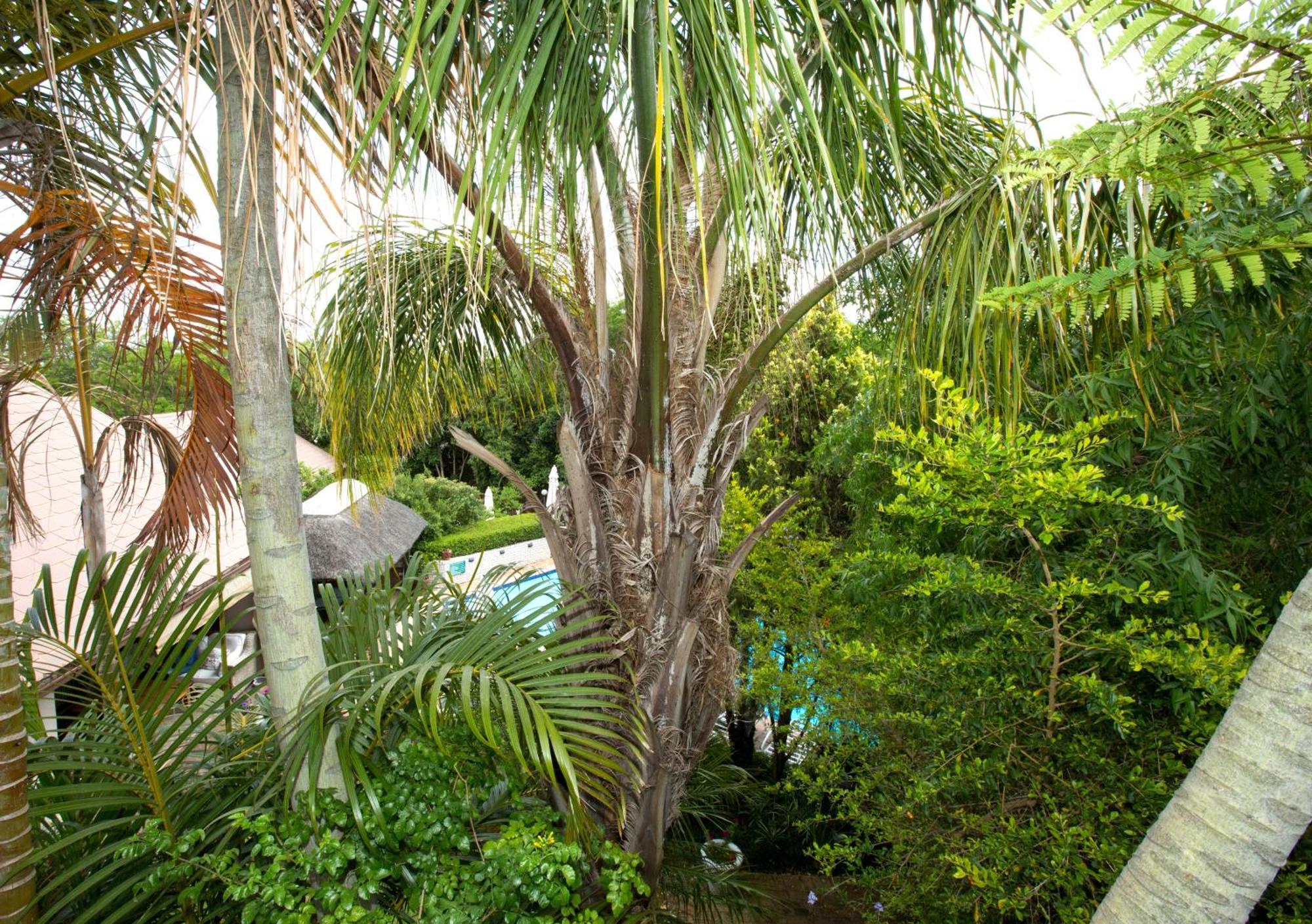 Hotel Hazelwood House à Stellenbosch Extérieur photo